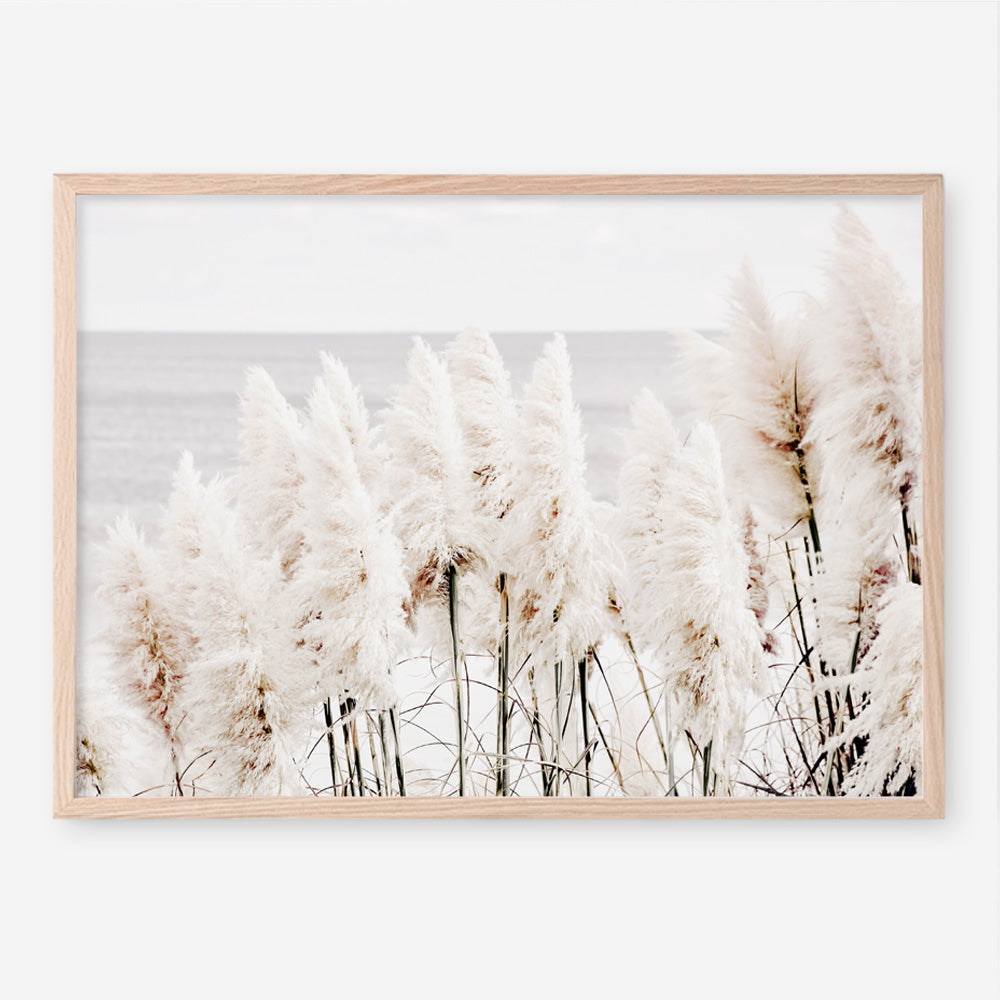 Shop Pampas Grass Photo Art Print a coastal themed photography wall art print from The Print Emporium wall artwork collection - Buy Australian made fine art poster and framed prints for the home and your interior decor, TPE-784-AP