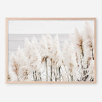 Shop Pampas Grass Photo Art Print a coastal themed photography wall art print from The Print Emporium wall artwork collection - Buy Australian made fine art poster and framed prints for the home and your interior decor, TPE-784-AP