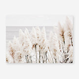 Shop Pampas Grass Photo Art Print a coastal themed photography wall art print from The Print Emporium wall artwork collection - Buy Australian made fine art poster and framed prints for the home and your interior decor, TPE-784-AP