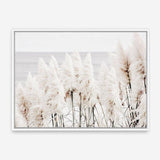 Shop Pampas Grass Photo Canvas Print a coastal themed photography framed stretched canvas print from The Print Emporium wall artwork collection - Buy Australian made prints for the home and your interior decor space, TPE-784-CA-35X46-NF