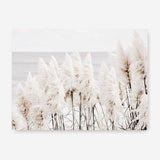 Shop Pampas Grass Photo Canvas Print a coastal themed photography framed stretched canvas print from The Print Emporium wall artwork collection - Buy Australian made prints for the home and your interior decor space, TPE-784-CA-35X46-NF