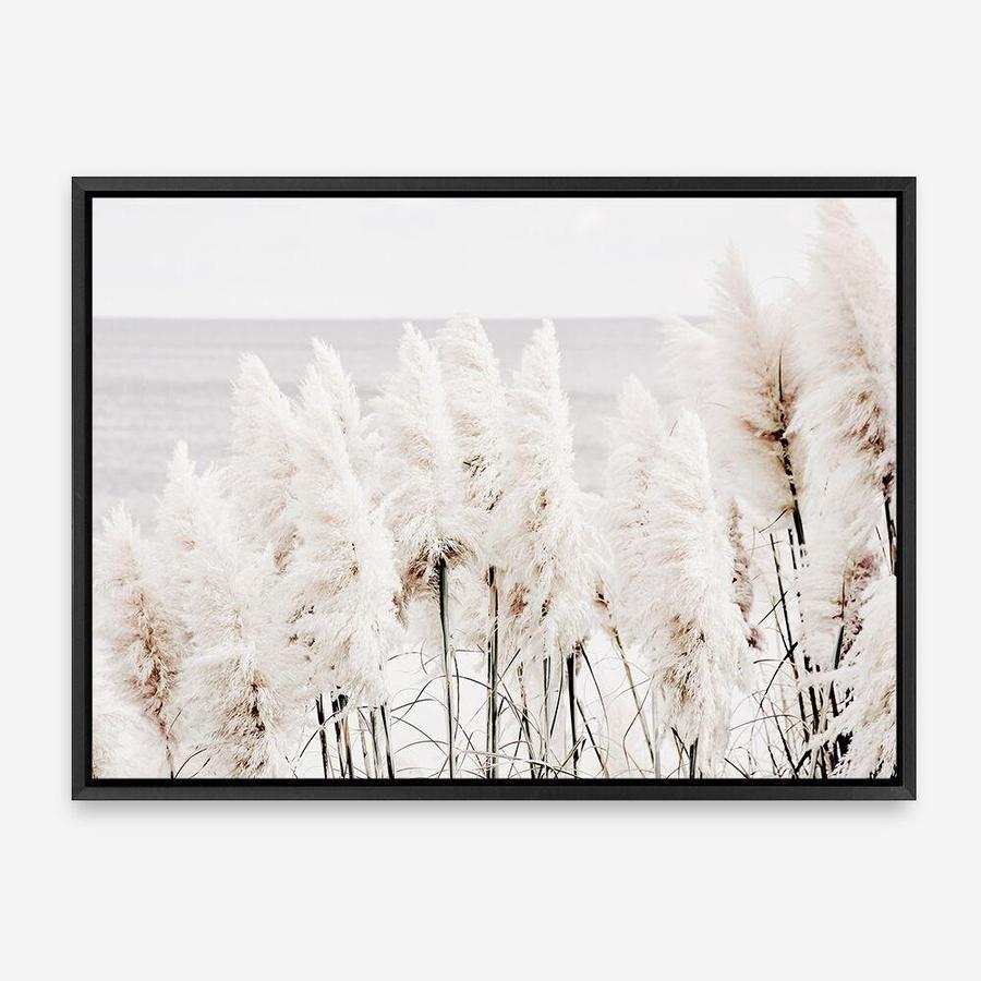 Shop Pampas Grass Photo Canvas Print a coastal themed photography framed stretched canvas print from The Print Emporium wall artwork collection - Buy Australian made prints for the home and your interior decor space, TPE-784-CA-35X46-NF
