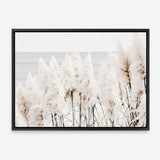 Shop Pampas Grass Photo Canvas Print a coastal themed photography framed stretched canvas print from The Print Emporium wall artwork collection - Buy Australian made prints for the home and your interior decor space, TPE-784-CA-35X46-NF
