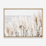 Shop Pampas Grass Photo Canvas Print a coastal themed photography framed stretched canvas print from The Print Emporium wall artwork collection - Buy Australian made prints for the home and your interior decor space, TPE-784-CA-35X46-NF