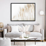 Shop Pampas Grass Reeds Photo Canvas Print a coastal themed photography framed stretched canvas print from The Print Emporium wall artwork collection - Buy Australian made prints for the home and your interior decor space, TPE-1091-CA-35X46-NF