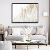 Shop Pampas Grass Reeds Photo Canvas Print a coastal themed photography framed stretched canvas print from The Print Emporium wall artwork collection - Buy Australian made prints for the home and your interior decor space, TPE-1091-CA-35X46-NF