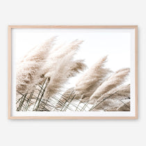 Shop Pampas Photo Art Print a coastal themed photography wall art print from The Print Emporium wall artwork collection - Buy Australian made fine art poster and framed prints for the home and your interior decor, TPE-851-AP