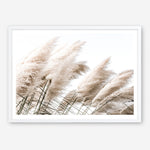 Shop Pampas Photo Art Print a coastal themed photography wall art print from The Print Emporium wall artwork collection - Buy Australian made fine art poster and framed prints for the home and your interior decor, TPE-851-AP