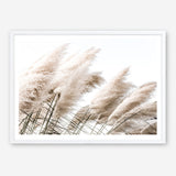 Shop Pampas Photo Art Print a coastal themed photography wall art print from The Print Emporium wall artwork collection - Buy Australian made fine art poster and framed prints for the home and your interior decor, TPE-851-AP
