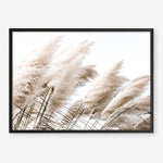 Shop Pampas Photo Art Print a coastal themed photography wall art print from The Print Emporium wall artwork collection - Buy Australian made fine art poster and framed prints for the home and your interior decor, TPE-851-AP