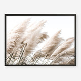 Shop Pampas Photo Art Print a coastal themed photography wall art print from The Print Emporium wall artwork collection - Buy Australian made fine art poster and framed prints for the home and your interior decor, TPE-851-AP
