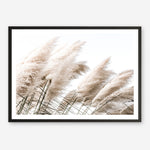 Shop Pampas Photo Art Print a coastal themed photography wall art print from The Print Emporium wall artwork collection - Buy Australian made fine art poster and framed prints for the home and your interior decor, TPE-851-AP