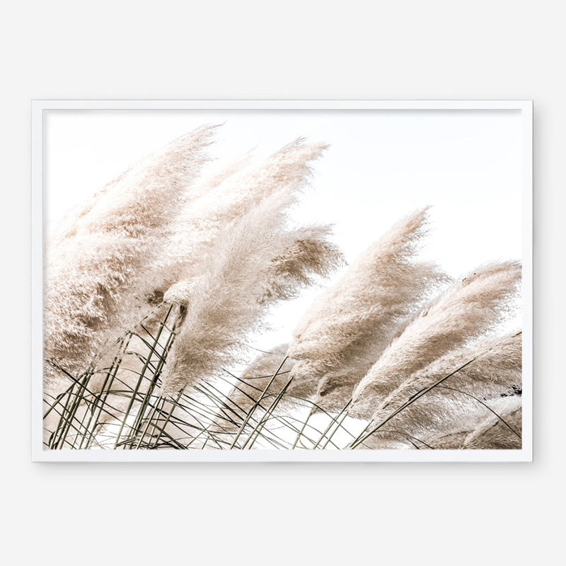 Shop Pampas Photo Art Print a coastal themed photography wall art print from The Print Emporium wall artwork collection - Buy Australian made fine art poster and framed prints for the home and your interior decor, TPE-851-AP