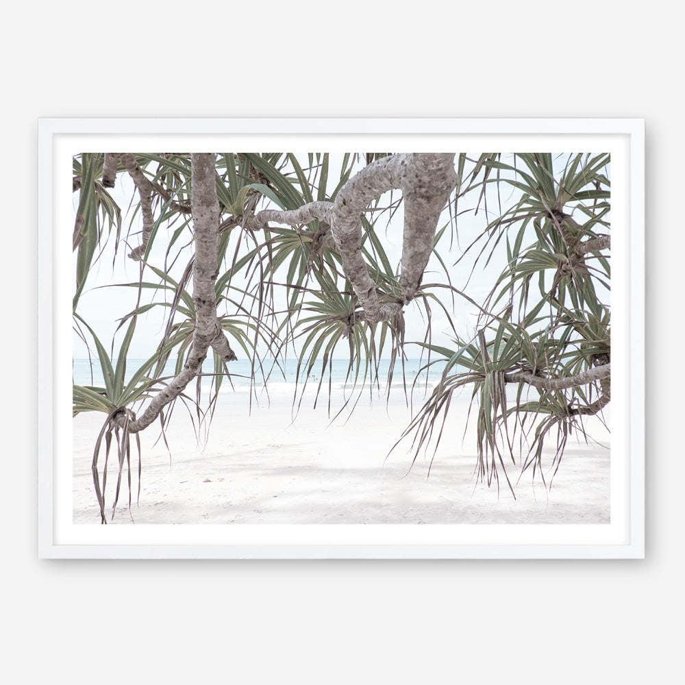 Shop Pandanus Palm Beach Photo Art Print a coastal themed photography wall art print from The Print Emporium wall artwork collection - Buy Australian made fine art poster and framed prints for the home and your interior decor, TPE-1166-AP