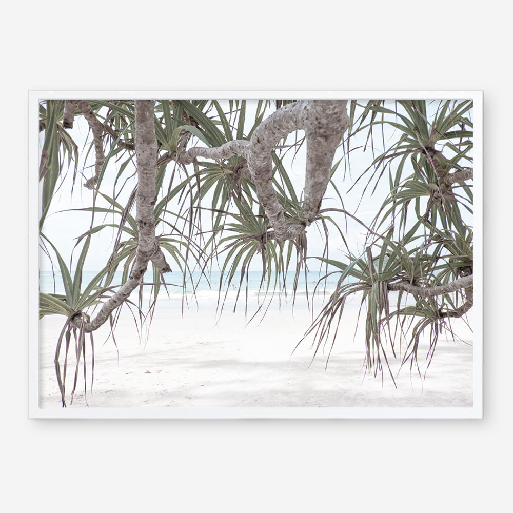 Shop Pandanus Palm Beach Photo Art Print a coastal themed photography wall art print from The Print Emporium wall artwork collection - Buy Australian made fine art poster and framed prints for the home and your interior decor, TPE-1166-AP