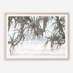Shop Pandanus Palm Beach Photo Art Print a coastal themed photography wall art print from The Print Emporium wall artwork collection - Buy Australian made fine art poster and framed prints for the home and your interior decor, TPE-1166-AP