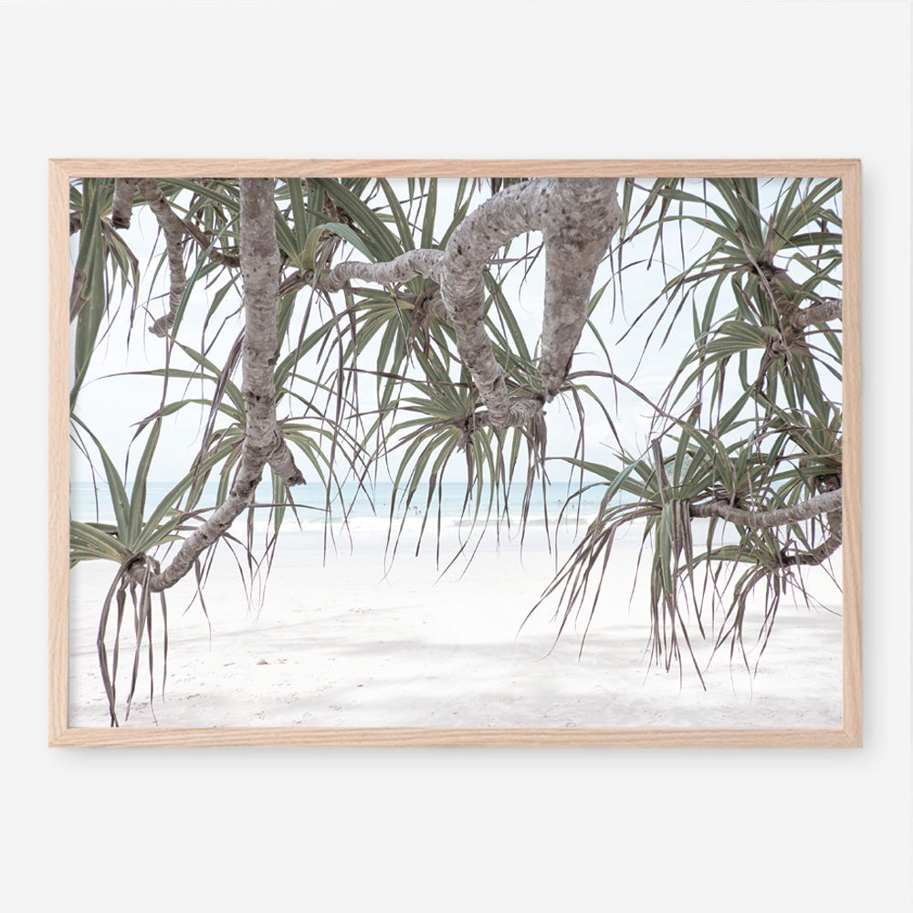 Shop Pandanus Palm Beach Photo Art Print a coastal themed photography wall art print from The Print Emporium wall artwork collection - Buy Australian made fine art poster and framed prints for the home and your interior decor, TPE-1166-AP