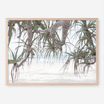 Shop Pandanus Palm Beach Photo Art Print a coastal themed photography wall art print from The Print Emporium wall artwork collection - Buy Australian made fine art poster and framed prints for the home and your interior decor, TPE-1166-AP
