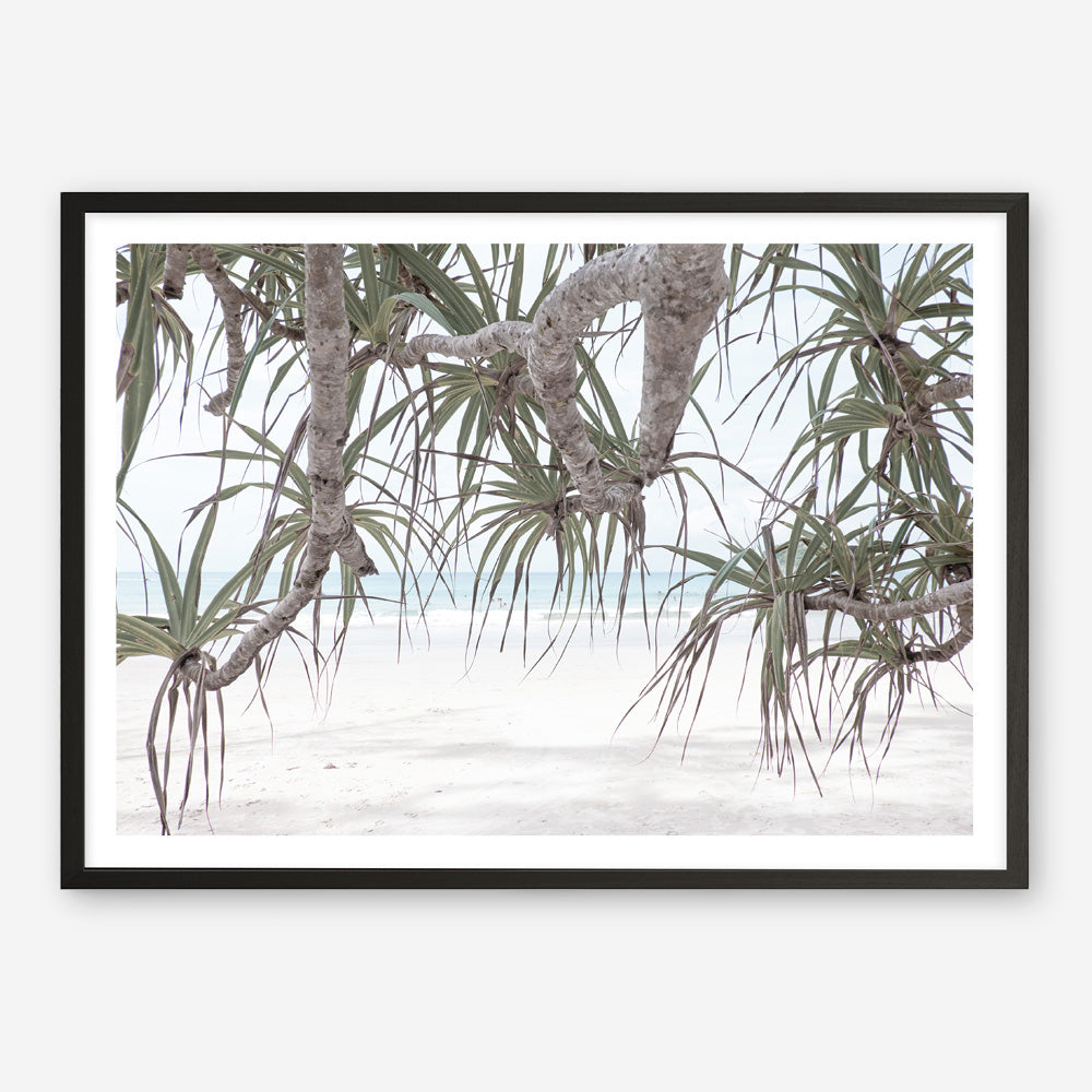 Shop Pandanus Palm Beach Photo Art Print a coastal themed photography wall art print from The Print Emporium wall artwork collection - Buy Australian made fine art poster and framed prints for the home and your interior decor, TPE-1166-AP