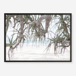 Shop Pandanus Palm Beach Photo Art Print a coastal themed photography wall art print from The Print Emporium wall artwork collection - Buy Australian made fine art poster and framed prints for the home and your interior decor, TPE-1166-AP