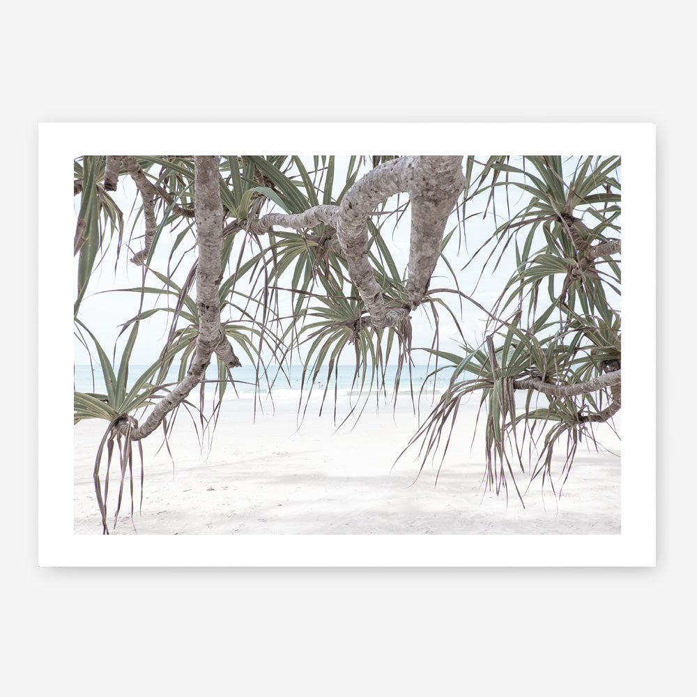 Shop Pandanus Palm Beach Photo Art Print a coastal themed photography wall art print from The Print Emporium wall artwork collection - Buy Australian made fine art poster and framed prints for the home and your interior decor, TPE-1166-AP
