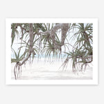 Shop Pandanus Palm Beach Photo Art Print a coastal themed photography wall art print from The Print Emporium wall artwork collection - Buy Australian made fine art poster and framed prints for the home and your interior decor, TPE-1166-AP