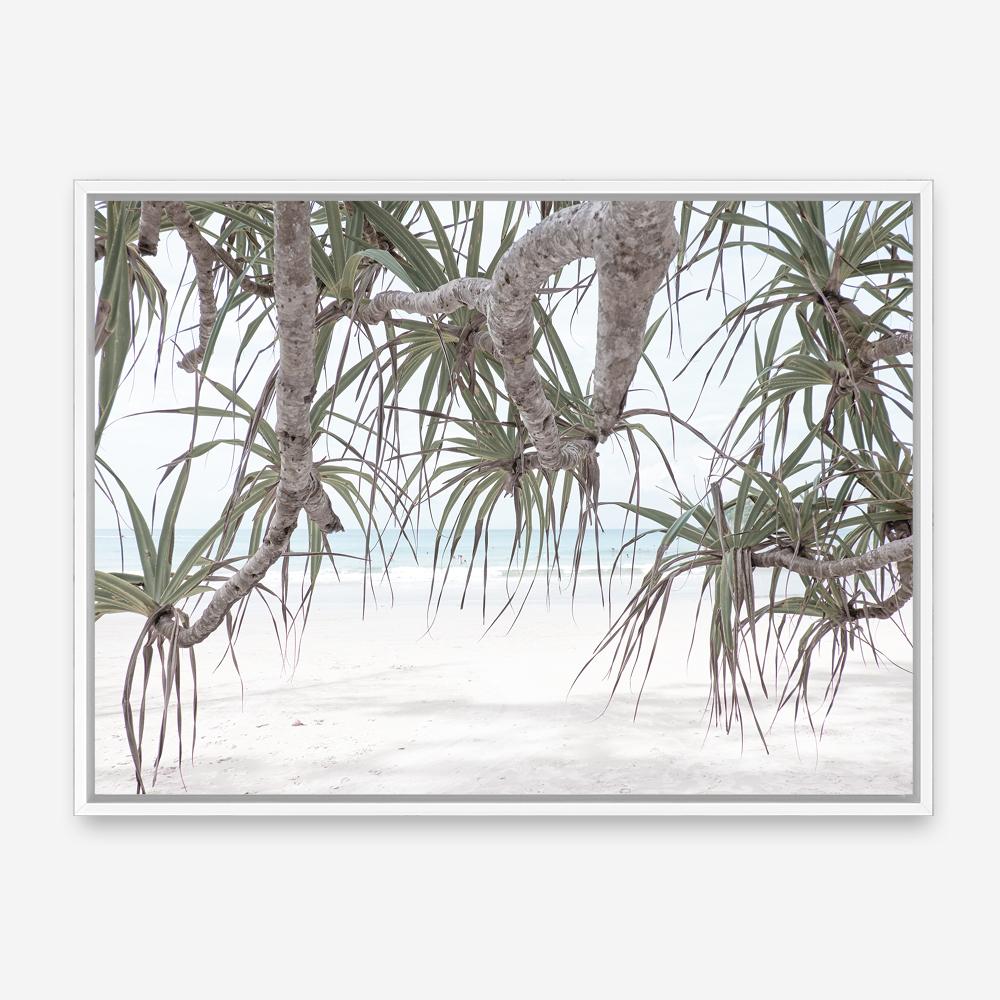 Shop Pandanus Palm Beach Photo Canvas Print a coastal themed photography framed stretched canvas print from The Print Emporium wall artwork collection - Buy Australian made prints for the home and your interior decor space, TPE-1166-CA-35X46-NF