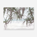 Shop Pandanus Palm Beach Photo Canvas Print a coastal themed photography framed stretched canvas print from The Print Emporium wall artwork collection - Buy Australian made prints for the home and your interior decor space, TPE-1166-CA-35X46-NF