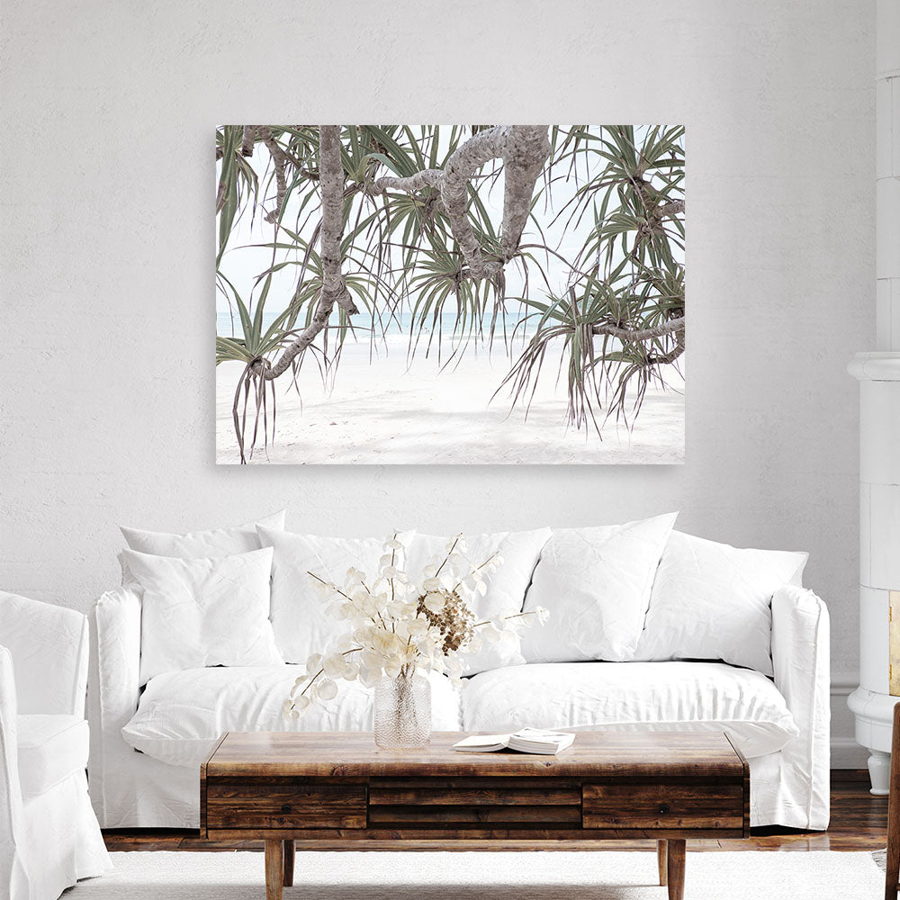 Shop Pandanus Palm Beach Photo Canvas Print a coastal themed photography framed stretched canvas print from The Print Emporium wall artwork collection - Buy Australian made prints for the home and your interior decor space, TPE-1166-CA-35X46-NF