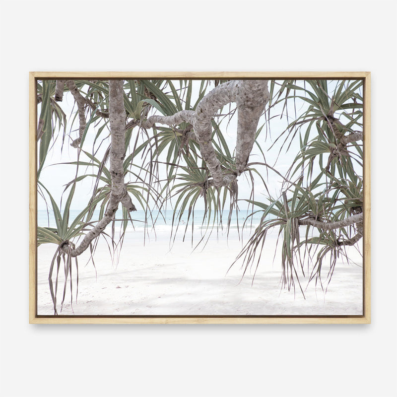 Shop Pandanus Palm Beach Photo Canvas Print a coastal themed photography framed stretched canvas print from The Print Emporium wall artwork collection - Buy Australian made prints for the home and your interior decor space, TPE-1166-CA-35X46-NF