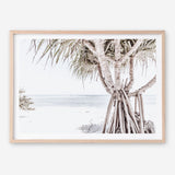 Shop Pandanus Palm Tree Photo Art Print a coastal themed photography wall art print from The Print Emporium wall artwork collection - Buy Australian made fine art poster and framed prints for the home and your interior decor, TPE-1069-AP