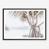 Shop Pandanus Palm Tree Photo Art Print a coastal themed photography wall art print from The Print Emporium wall artwork collection - Buy Australian made fine art poster and framed prints for the home and your interior decor, TPE-1069-AP