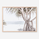 Shop Pandanus Palm Tree Photo Art Print a coastal themed photography wall art print from The Print Emporium wall artwork collection - Buy Australian made fine art poster and framed prints for the home and your interior decor, TPE-1069-AP