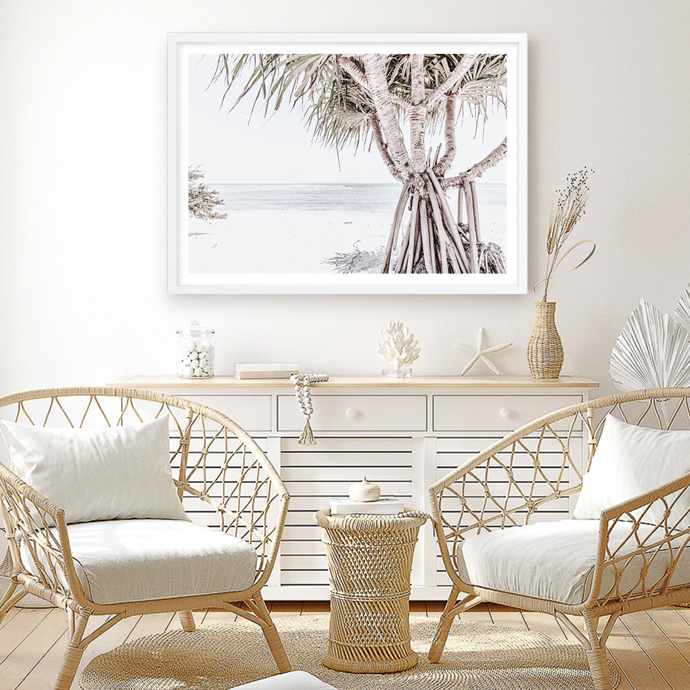 Shop Pandanus Palm Tree Photo Art Print a coastal themed photography wall art print from The Print Emporium wall artwork collection - Buy Australian made fine art poster and framed prints for the home and your interior decor, TPE-1069-AP