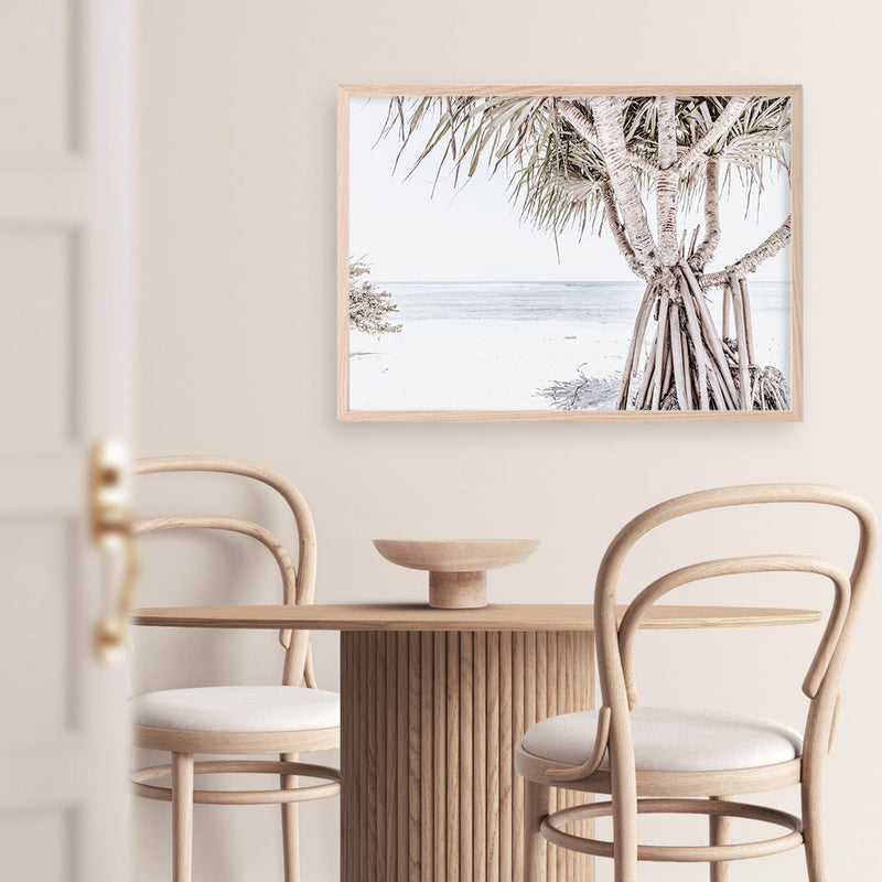 Shop Pandanus Palm Tree Photo Art Print a coastal themed photography wall art print from The Print Emporium wall artwork collection - Buy Australian made fine art poster and framed prints for the home and your interior decor, TPE-1069-AP