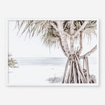 Shop Pandanus Palm Tree Photo Art Print a coastal themed photography wall art print from The Print Emporium wall artwork collection - Buy Australian made fine art poster and framed prints for the home and your interior decor, TPE-1069-AP