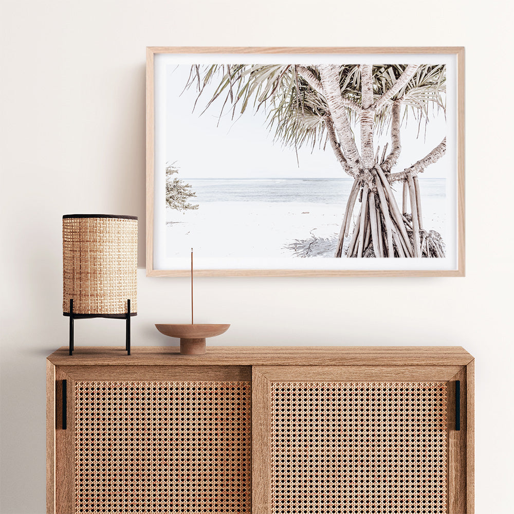 Shop Pandanus Palm Tree Photo Art Print a coastal themed photography wall art print from The Print Emporium wall artwork collection - Buy Australian made fine art poster and framed prints for the home and your interior decor, TPE-1069-AP