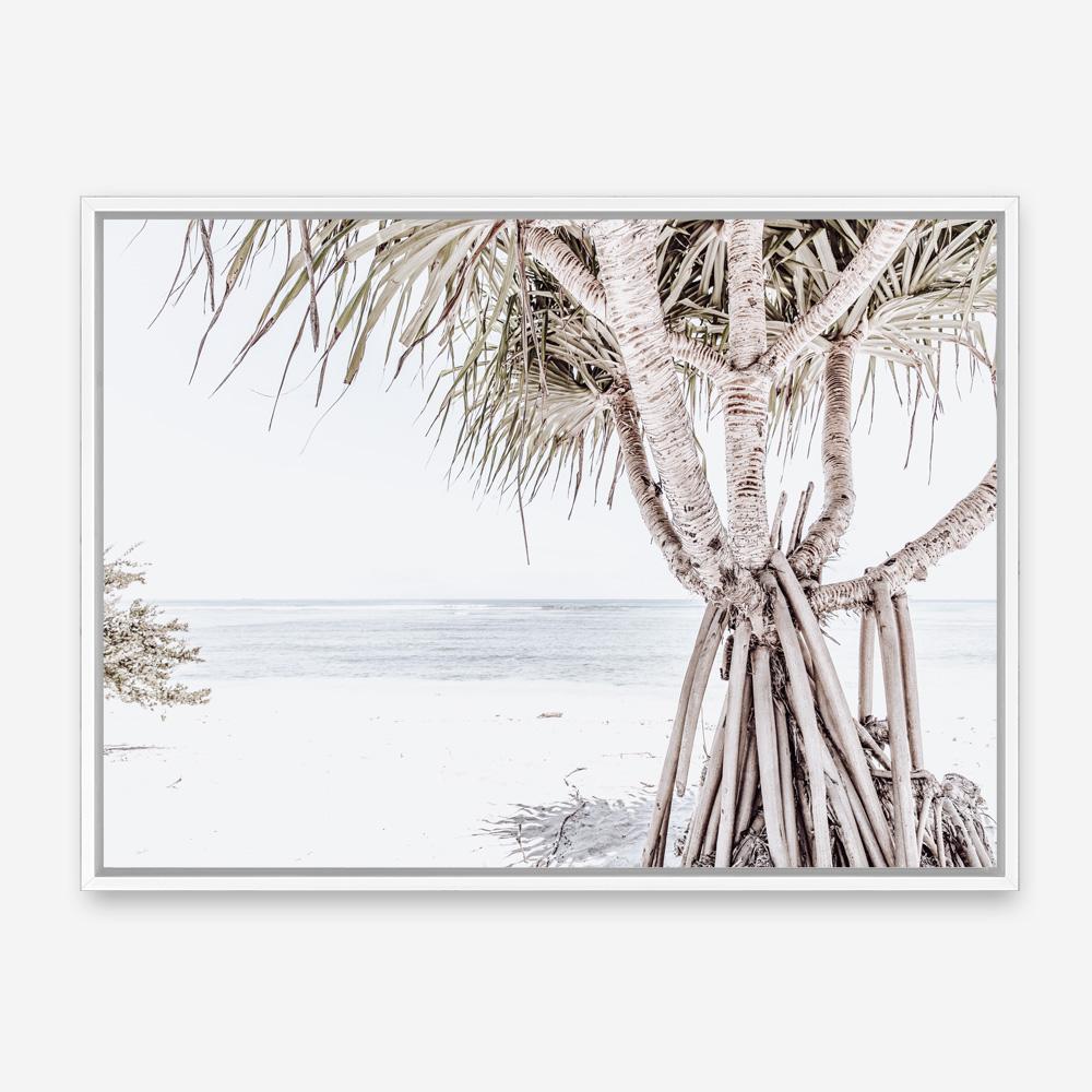 Shop Pandanus Palm Tree Photo Canvas Print a coastal themed photography framed stretched canvas print from The Print Emporium wall artwork collection - Buy Australian made prints for the home and your interior decor space
