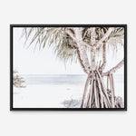 Shop Pandanus Palm Tree Photo Canvas Print a coastal themed photography framed stretched canvas print from The Print Emporium wall artwork collection - Buy Australian made prints for the home and your interior decor space