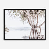 Shop Pandanus Palm Tree Photo Canvas Print a coastal themed photography framed stretched canvas print from The Print Emporium wall artwork collection - Buy Australian made prints for the home and your interior decor space