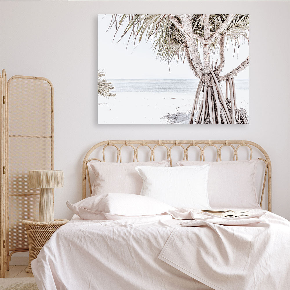 Shop Pandanus Palm Tree Photo Canvas Print a coastal themed photography framed stretched canvas print from The Print Emporium wall artwork collection - Buy Australian made prints for the home and your interior decor space