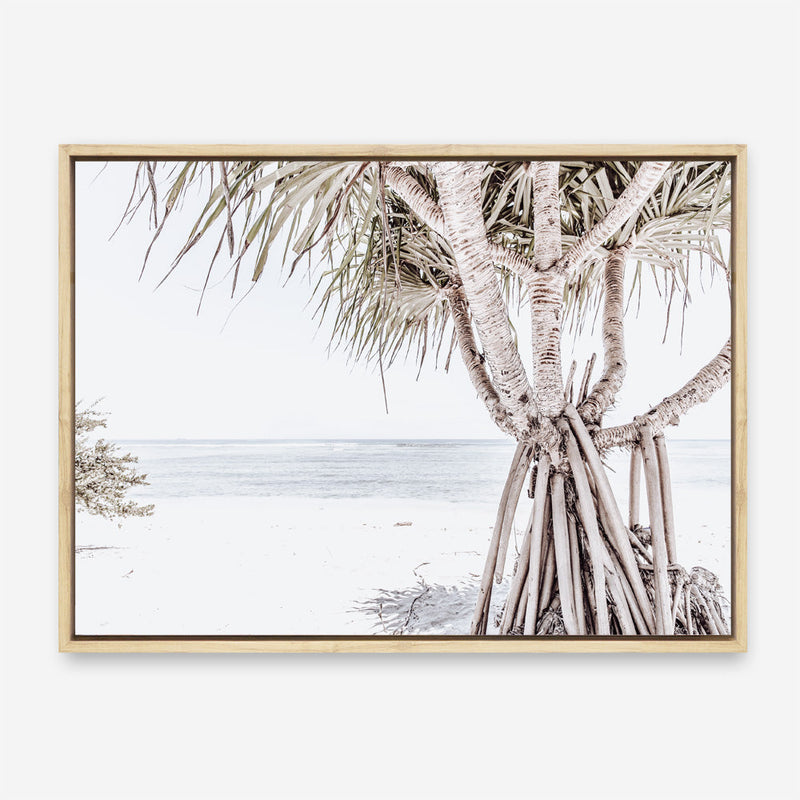 Shop Pandanus Palm Tree Photo Canvas Print a coastal themed photography framed stretched canvas print from The Print Emporium wall artwork collection - Buy Australian made prints for the home and your interior decor space