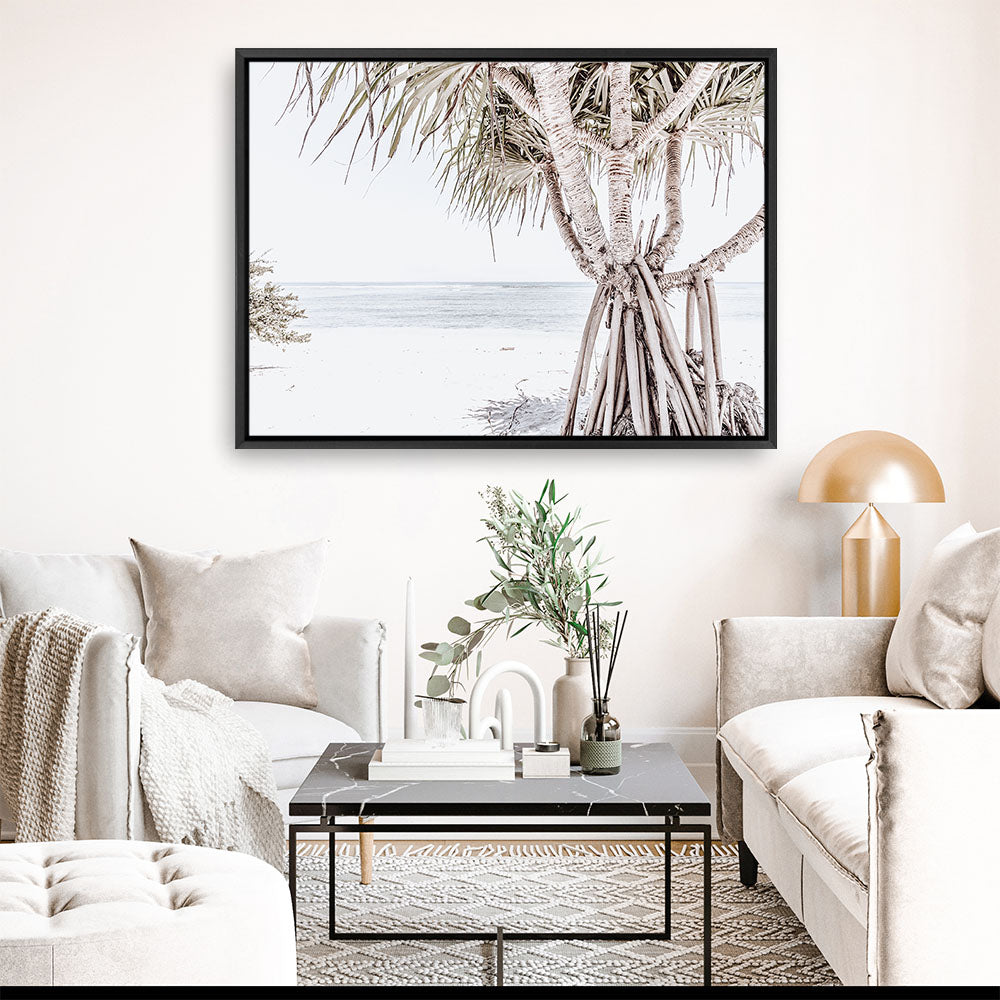Shop Pandanus Palm Tree Photo Canvas Print a coastal themed photography framed stretched canvas print from The Print Emporium wall artwork collection - Buy Australian made prints for the home and your interior decor space