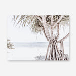 Shop Pandanus Palm Tree Photo Canvas Print a coastal themed photography framed stretched canvas print from The Print Emporium wall artwork collection - Buy Australian made prints for the home and your interior decor space