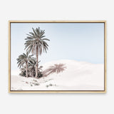 Shop Pastel Desert Photo Canvas Print a Moroccan desert boho themed photography framed stretched canvas print from The Print Emporium wall artwork collection - Buy Australian made prints for the home and your interior decor space, TPE-819-CA-35X46-NF