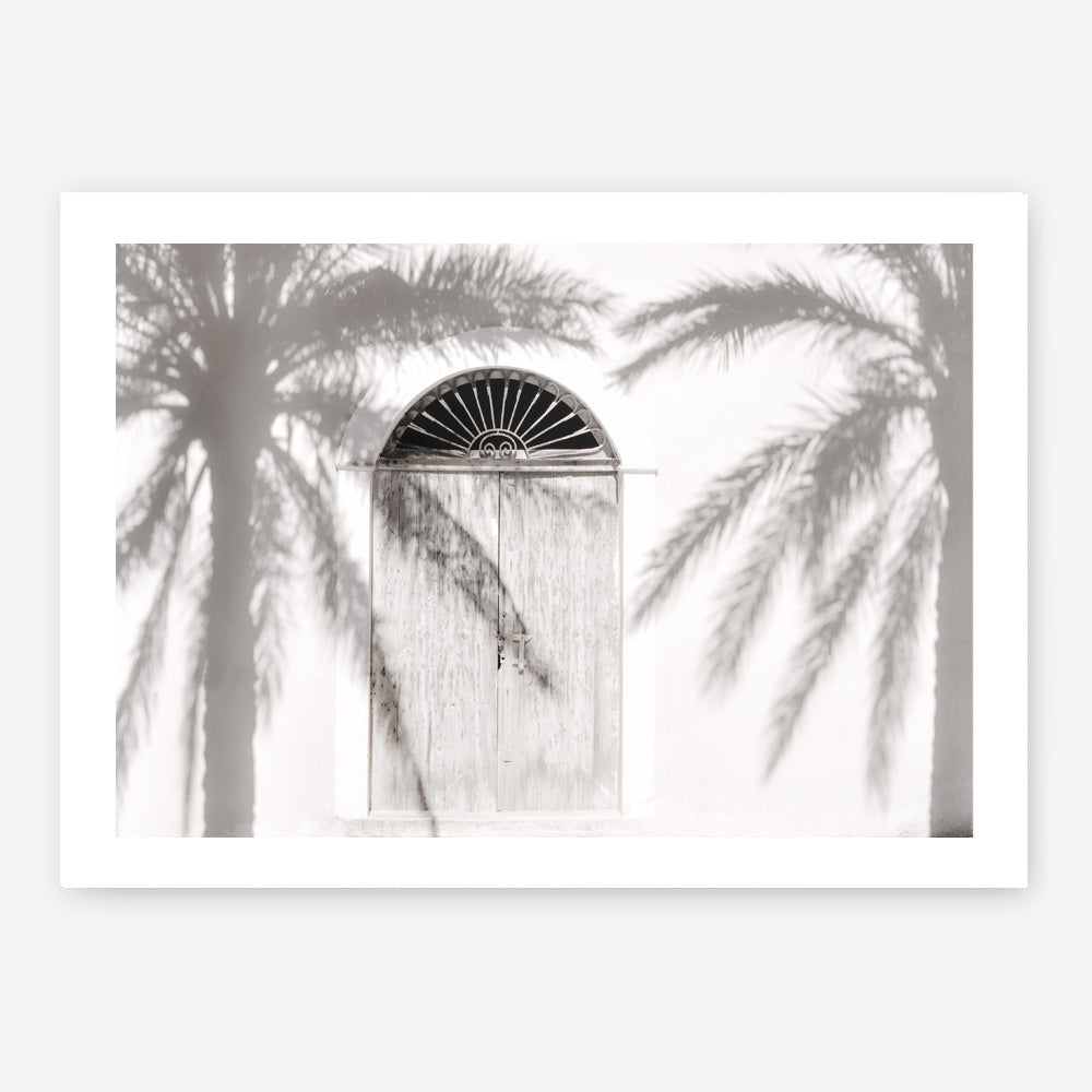 Shop Pastel Palm Shadows II Photo Art Print a coastal themed photography wall art print from The Print Emporium wall artwork collection - Buy Australian made fine art poster and framed prints for the home and your interior decor, TPE-1287-AP