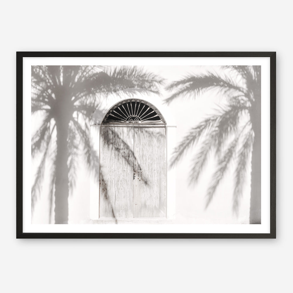 Shop Pastel Palm Shadows II Photo Art Print a coastal themed photography wall art print from The Print Emporium wall artwork collection - Buy Australian made fine art poster and framed prints for the home and your interior decor, TPE-1287-AP