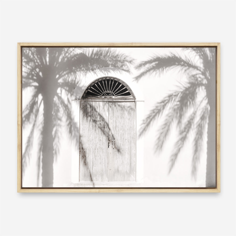 Shop Pastel Palm Shadows II Photo Canvas Print a coastal themed photography framed stretched canvas print from The Print Emporium wall artwork collection - Buy Australian made prints for the home and your interior decor space, TPE-1287-CA-35X46-NF