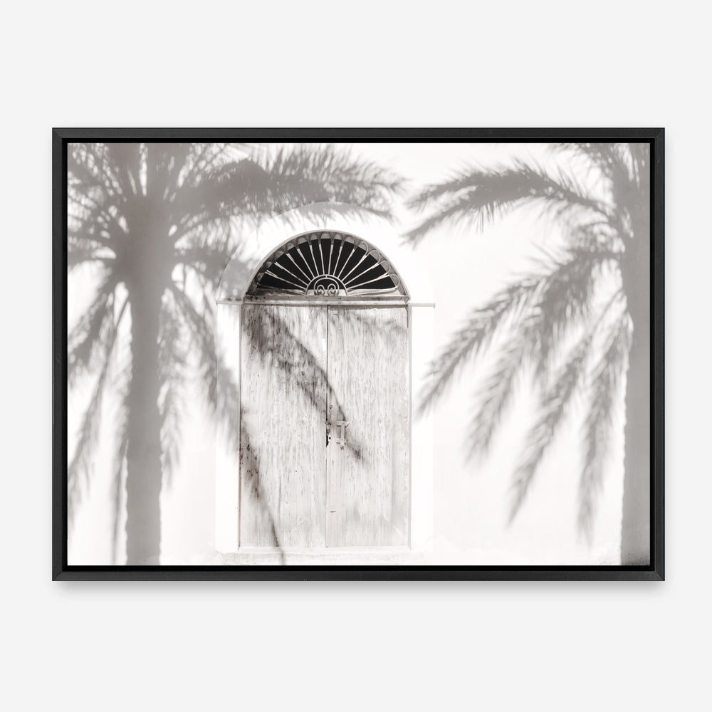 Shop Pastel Palm Shadows II Photo Canvas Print a coastal themed photography framed stretched canvas print from The Print Emporium wall artwork collection - Buy Australian made prints for the home and your interior decor space, TPE-1287-CA-35X46-NF