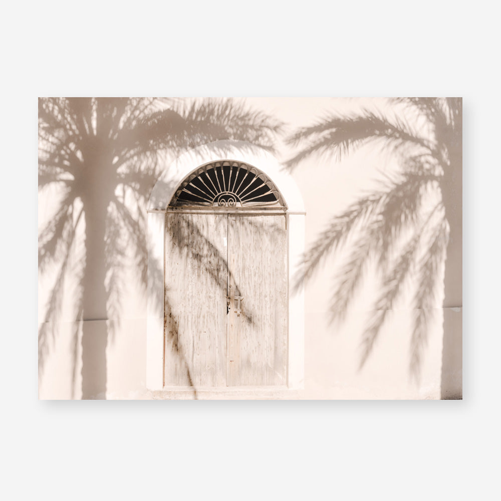 Shop Pastel Palm Shadows Photo Art Print a coastal themed photography wall art print from The Print Emporium wall artwork collection - Buy Australian made fine art poster and framed prints for the home and your interior decor, TPE-1123-AP